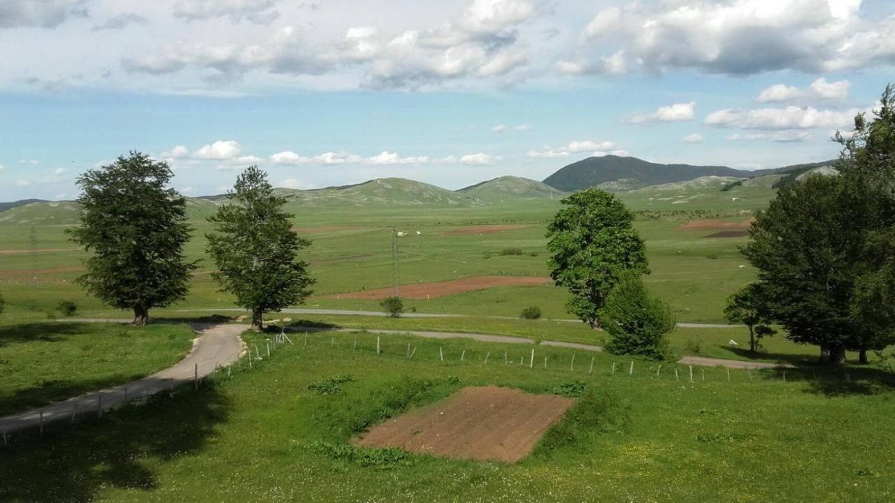 Kolibri Villa Zabljak  Exterior photo
