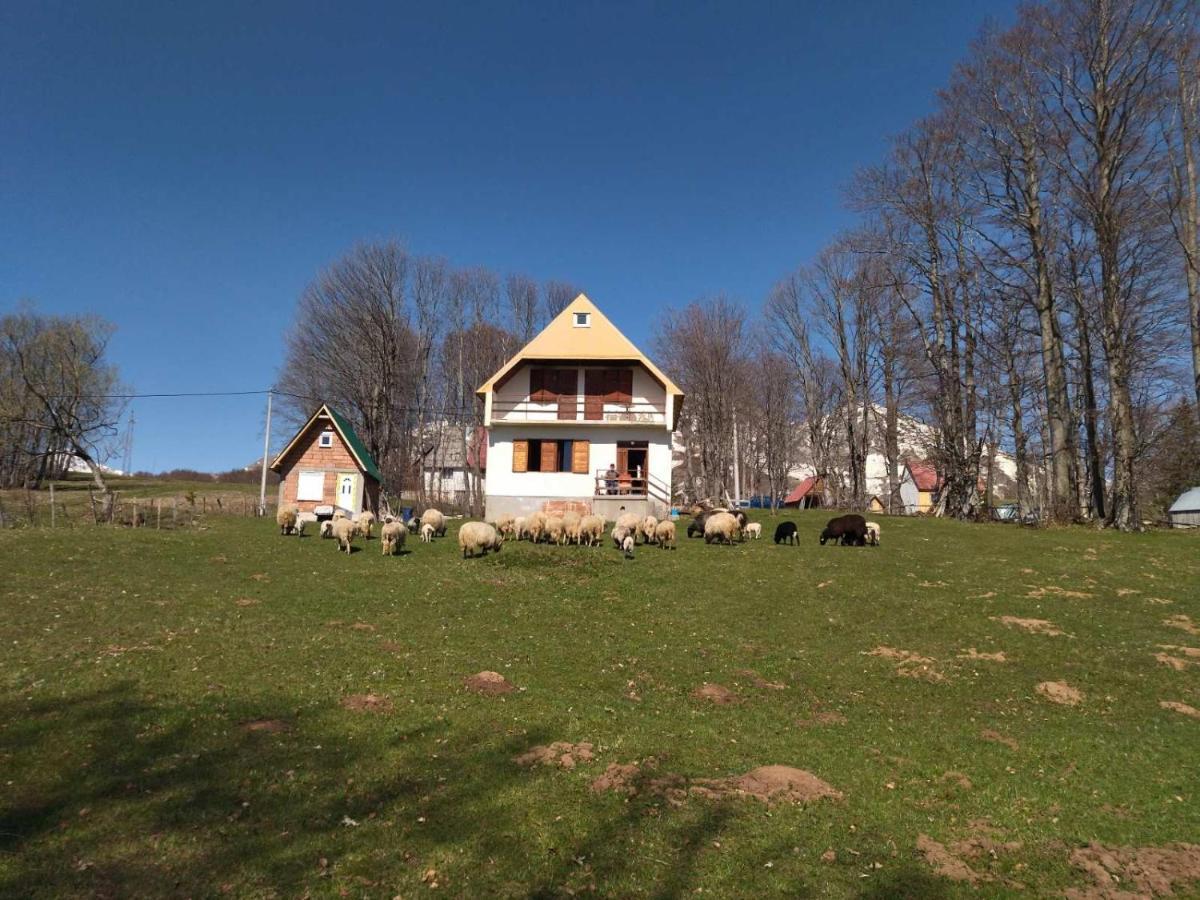 Kolibri Villa Zabljak  Exterior photo