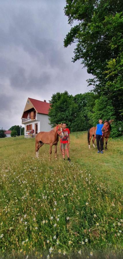 Kolibri Villa Zabljak  Exterior photo